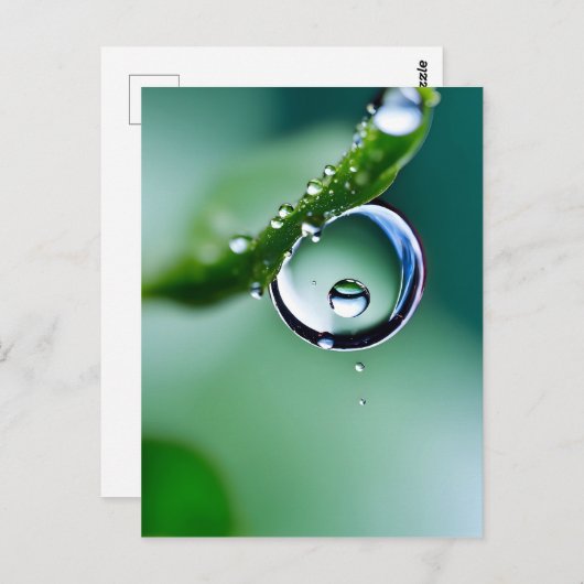 Macro waterdruppels briefkaart (Voorkant / Achterkant)