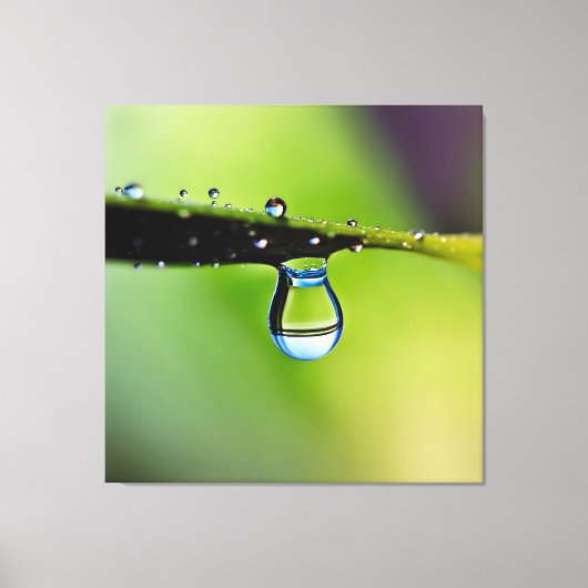 Macro waterdruppels canvas afdruk (Voorkant)