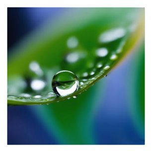 Macro waterdruppels foto afdruk