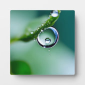 Macro waterdruppels fotoplaat (Voorkant)