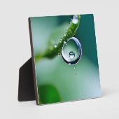 Macro waterdruppels fotoplaat (Voorkant)