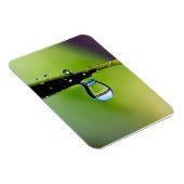 Macro waterdruppels magneet (Rechterzijde)