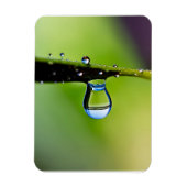 Macro waterdruppels magneet (Verticaal)