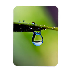 Macro waterdruppels magneet