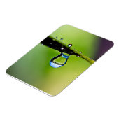 Macro waterdruppels magneet (Linkerzijde)