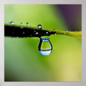 Macro waterdruppels poster (Voorkant)