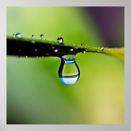 Macro waterdruppels poster (Voorkant)