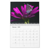 Macro World 2022 Kalender (Feb 2027)