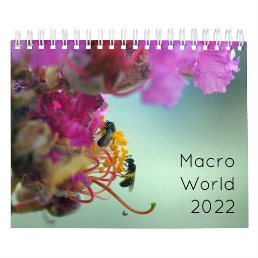Macro World 2022 Kalender (Hoes)
