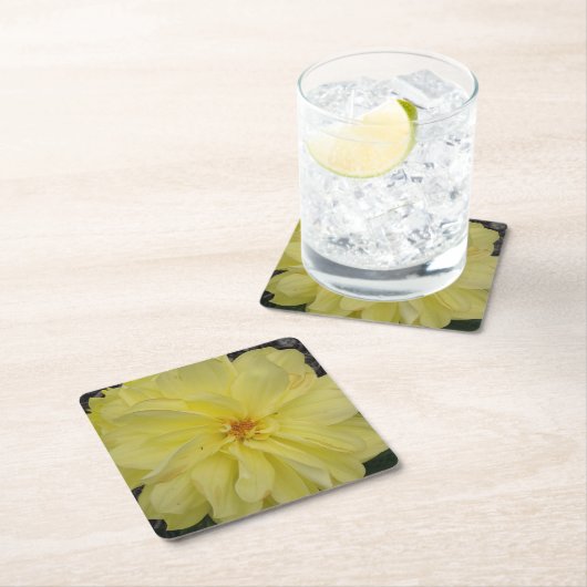 Macro Yellow Dahlia Flower Kartonnen Onderzetters (Insitu)