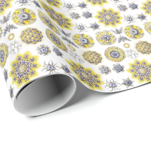 Macro Zee Creatures Papier Wrap (Rol Hoek)