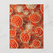 Macro-Zee ster Briefkaart (Voorkant)