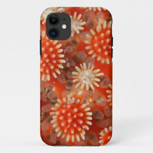 Macro-Zee ster Case-Mate iPhone Case
