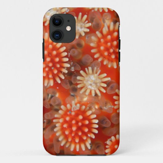 Macro-Zee ster Case-Mate iPhone Case (Achterkant)