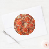 Macro-Zee ster Ronde Sticker (Envelop)