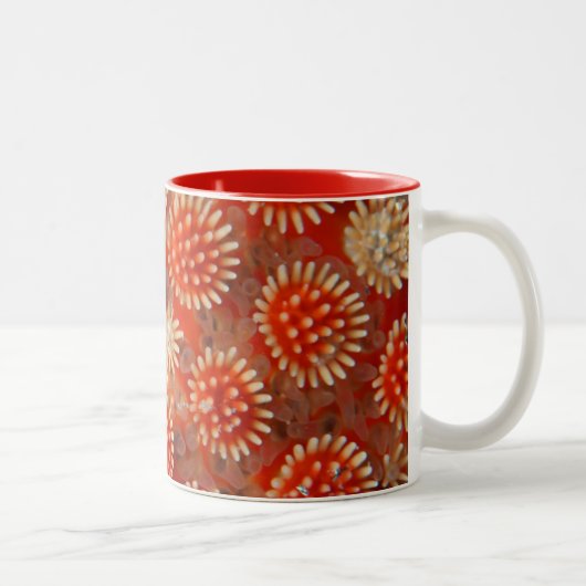 Macro-Zee ster Tweekleurige Koffiemok (Rechts)