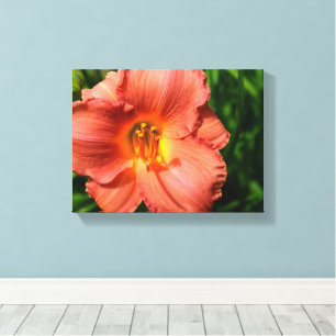Macrobeeld van daglelie canvas afdruk
