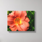 Macrobeeld van daglelie canvas afdruk (Voorkant)