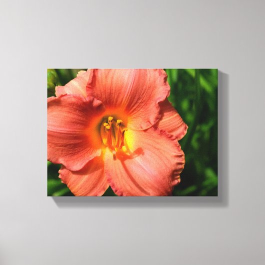 Macrobeeld van daglelie canvas afdruk (Voorkant)