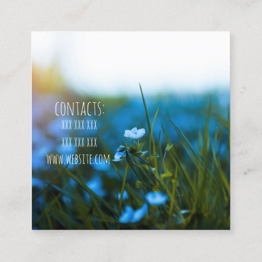 Macrobloemen in veld, voor bloemist, Visitekaartje (Achterkant)