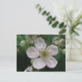 MacroBriefkaart Blackberry Flower Briefkaart (Staand voorkant)