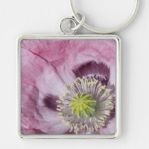 Macrofoto paarse Passiebloem -