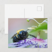 Macrofoto van Bumble Bee Briefkaart (Voorkant / Achterkant)