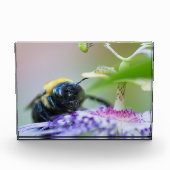 Macrofoto van Bumble Bee Fotoblokken (Voorkant)