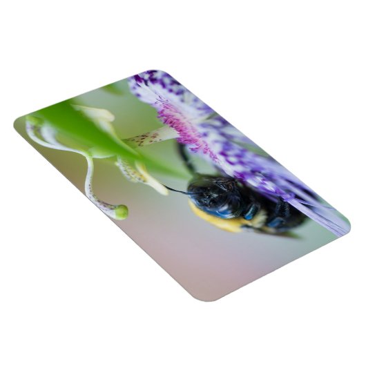 Macrofoto van Bumble Bee Magneet (Rechterzijde)