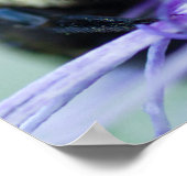 Macrofoto van Bumble Bee Poster (Hoek)