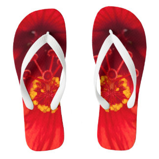 Macrofoto van rode hibiscus bloem op teenslippers