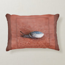 Macrofoto van slak op Terracotta