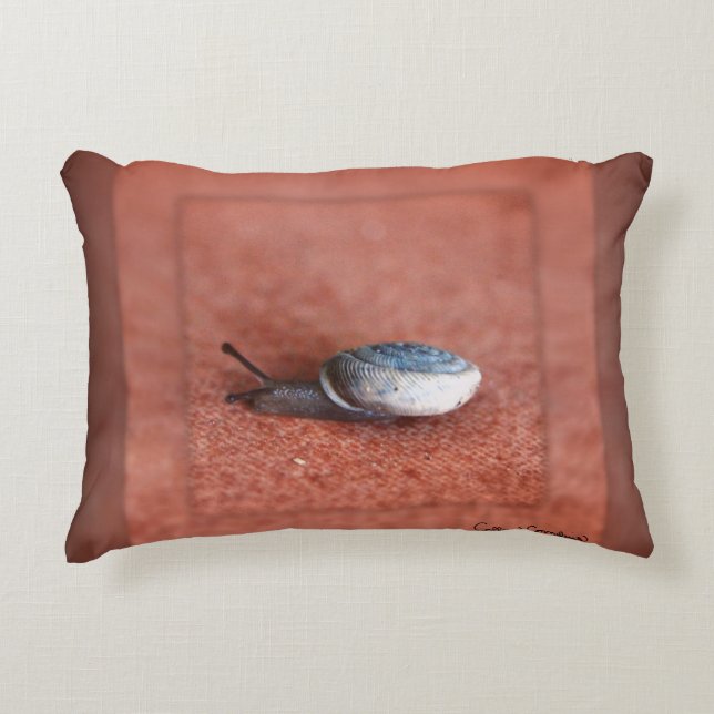 Macrofoto van slak op Terracotta Accent Kussen (Voorkant)