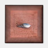 Macrofoto van slak op Terracotta Magneet (Voorkant)