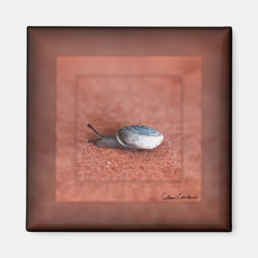 Macrofoto van slak op Terracotta Magneet (Voorkant)