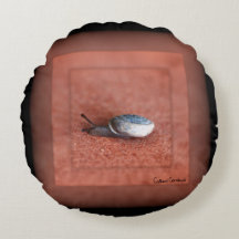 Macrofoto van slak op Terracotta