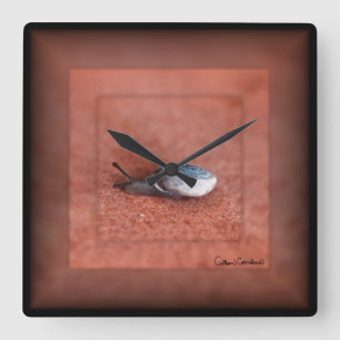 Macrofoto van slak op Terracotta Vierkante Klok