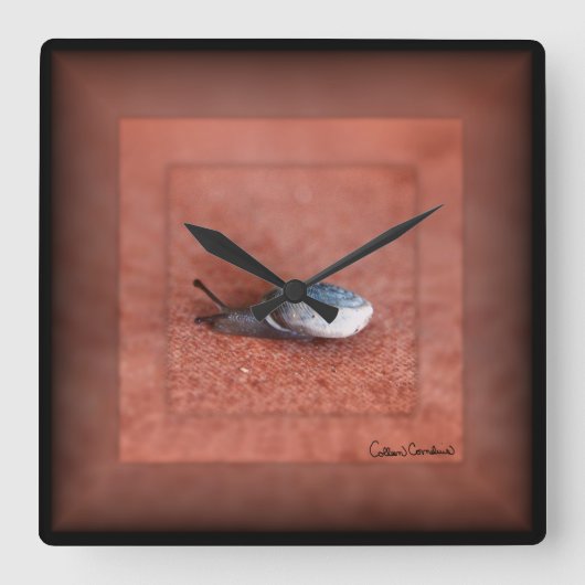 Macrofoto van slak op Terracotta Vierkante Klok (Voorkant)