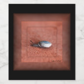 Macrofoto van slak op Terracotta Wijn Etiket (Enkel label)