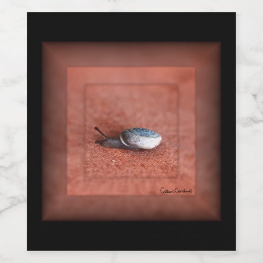 Macrofoto van slak op Terracotta Wijn Etiket (Enkel label)