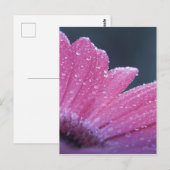 Macrofotobloem Briefkaart (Voorkant / Achterkant)