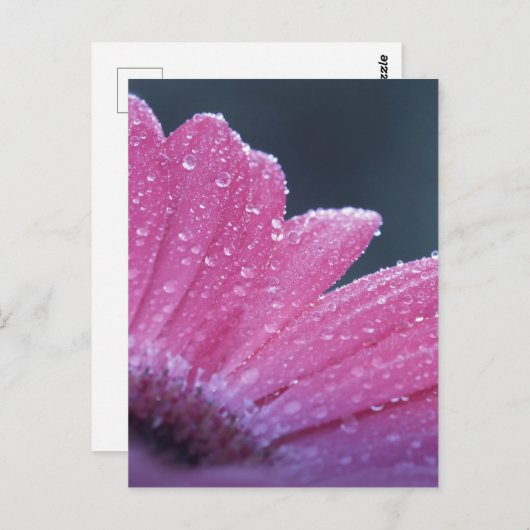 Macrofotobloem Briefkaart (Voorkant / Achterkant)