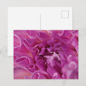 Macrofotobloem Briefkaart (Voorkant / Achterkant)