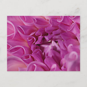 Macrofotobloem Briefkaart