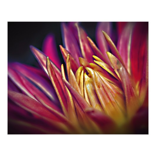 Macrofotobloem Foto Afdruk (Voorkant)