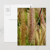 Macrofotografie afbeelding van grassen met gifstaa briefkaart (Voorkant / Achterkant)