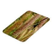 Macrofotografie afbeelding van grassen met gifstaa magneet (Linkerzijde)