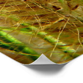 Macrofotografie afbeelding van grassen met gifstaa poster (Hoek)