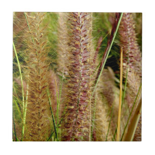 Macrofotografie afbeelding van grassen met gifstaa tegeltje