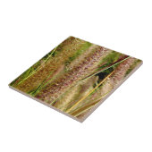 Macrofotografie afbeelding van grassen met gifstaa tegeltje (Zijkant)